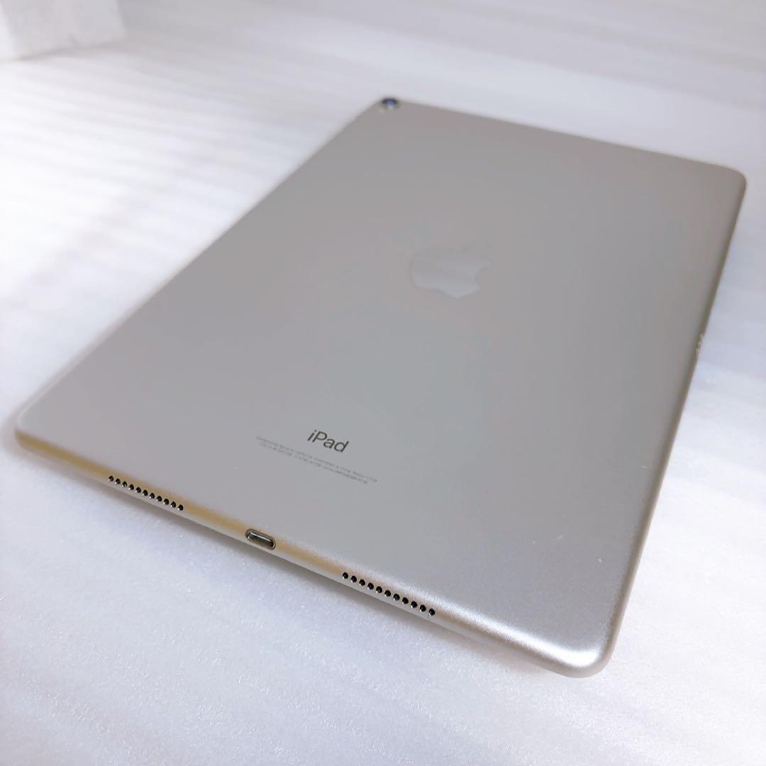 即日発送！iPadPro2【256GB】SIMフリーとアップルペンシルのセット