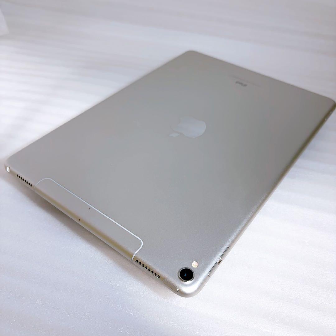 即日発送！iPadPro2【256GB】SIMフリーとアップルペンシルのセット
