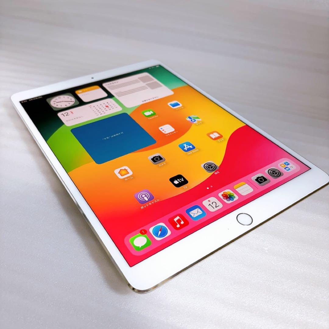 即日発送！iPadPro2【256GB】SIMフリーとアップルペンシルのセット