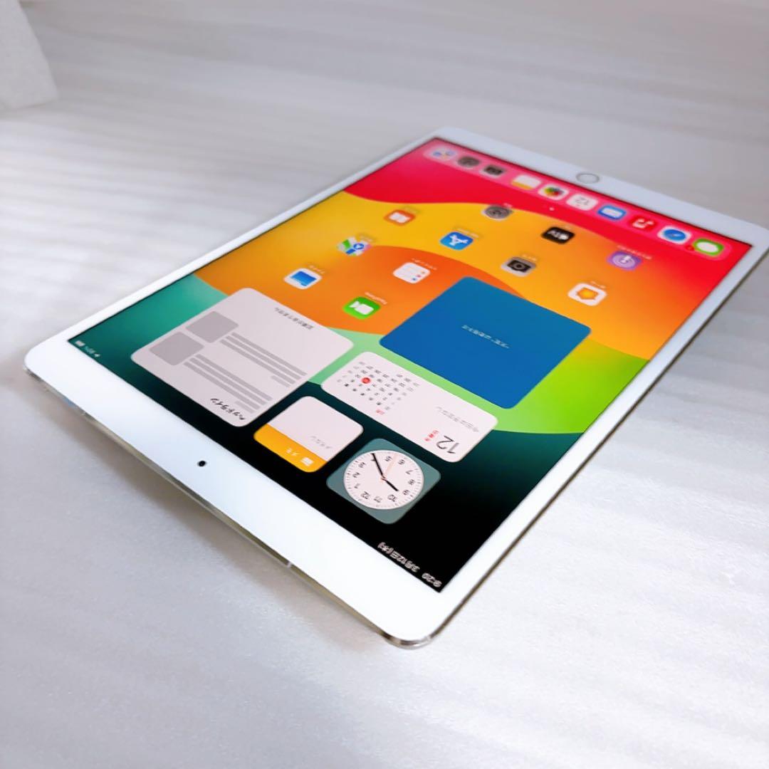 即日発送！iPadPro2【256GB】SIMフリーとアップルペンシルのセット