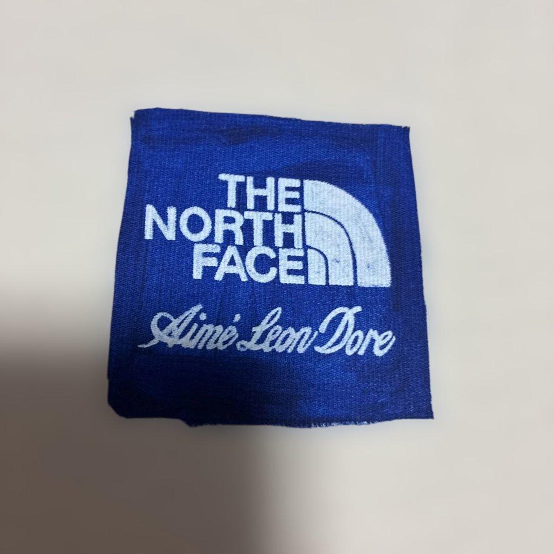 専用　THE NORTH FACE Aime Leon Dore Tシャツ
