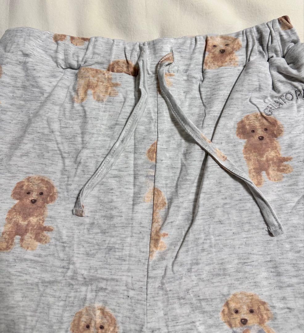 【新品未使用】ジェラートピケ　犬　プードル　ロゴ　半袖Tシャツ&ロングパンツ