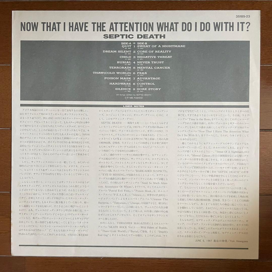 Septic Death – Now That I Have...（国内盤）