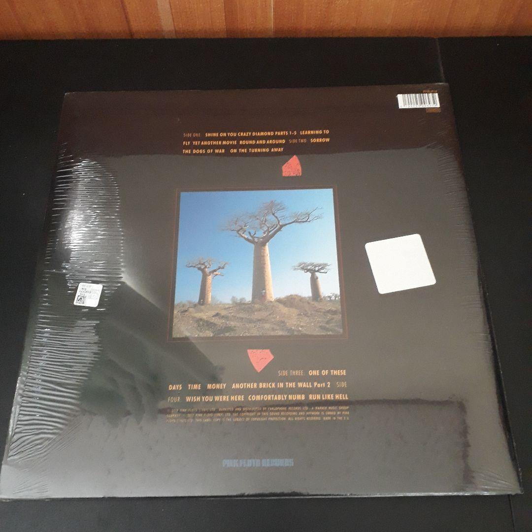 洋楽 PINK FLOYD / Delicate Sound of Thunder