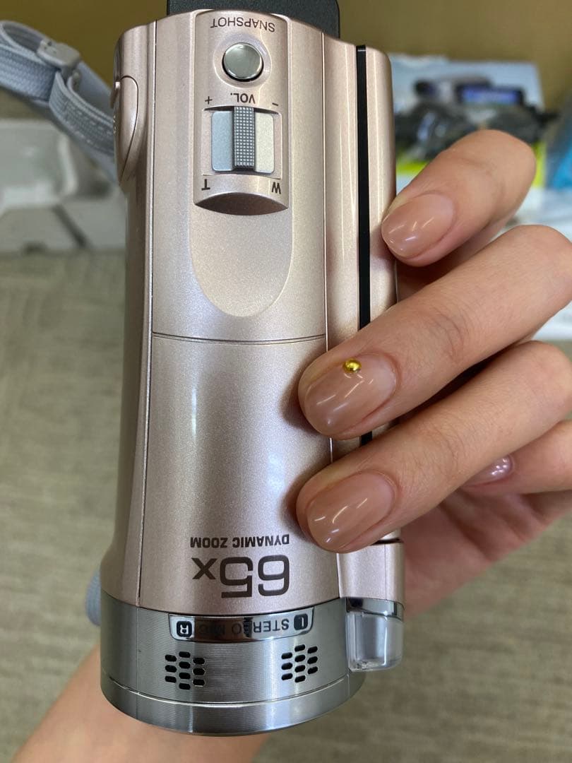 JVC Everio GZ-E565 本体