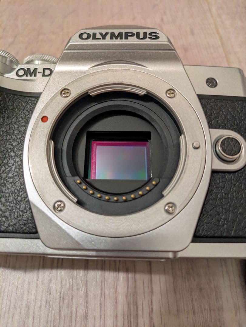 【限定値下げ】【おまけ付】OLYMPUS OM-D E-M10 Mark III