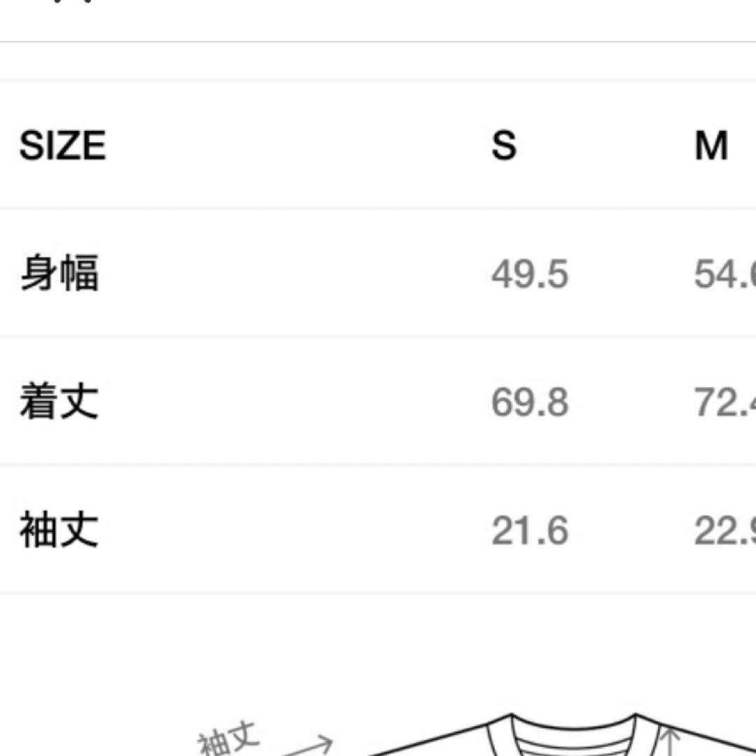 Stussy ステューシー　Stussy Paris Tee Natural
