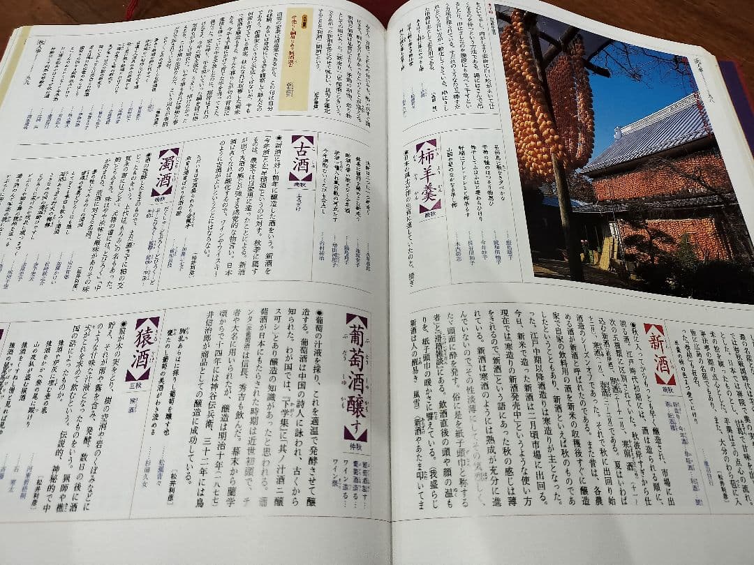 新日本大歳時記　カラー版★全5巻セット★講談社　 稲畑汀子　金子兜太ほか 監修