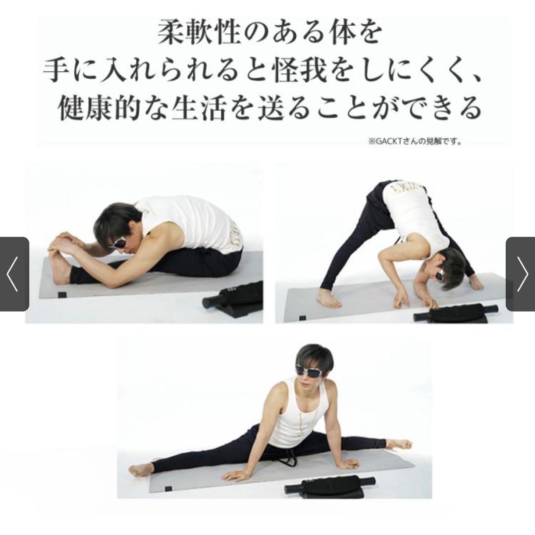 GACKTプロデュース エクストラリリース ストレッチサポート器具 回転ローラー