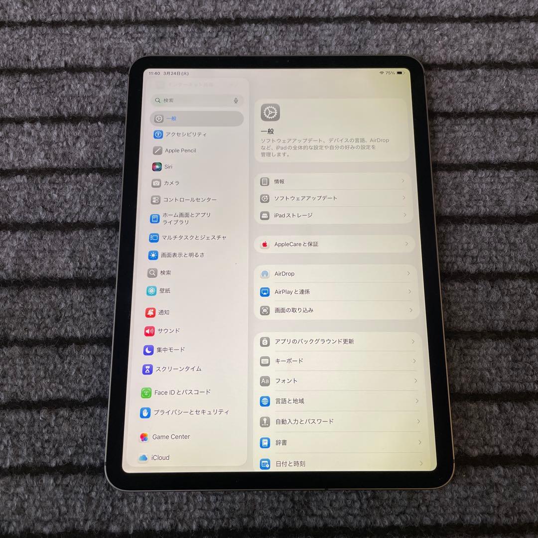 172 iPad Pro 11インチ 1世代 Wi-Fi 256GB グレイ