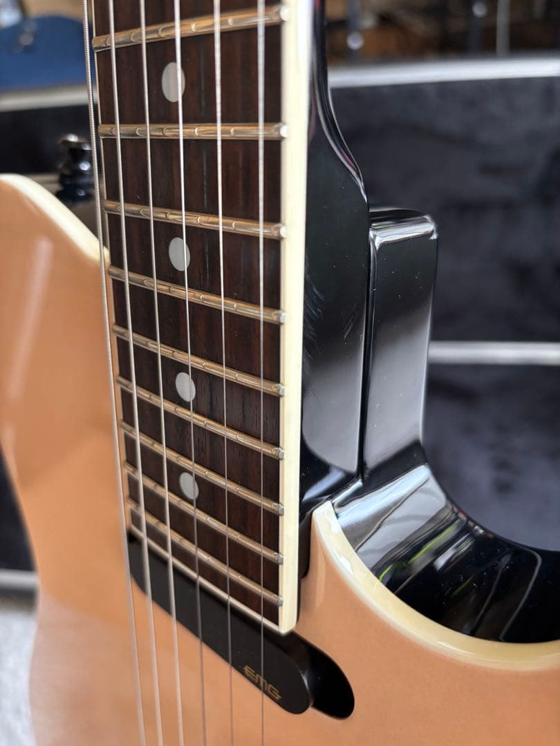 激レア品！FERNANDES TEJ Custom イベント出展品