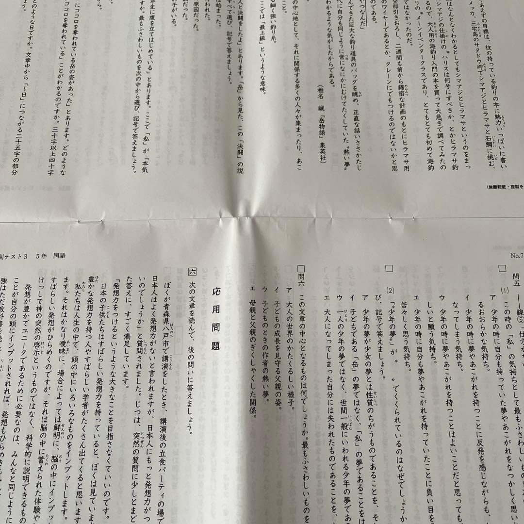 2025年 日能研 5年 夏期講習特別テスト❶❷❸