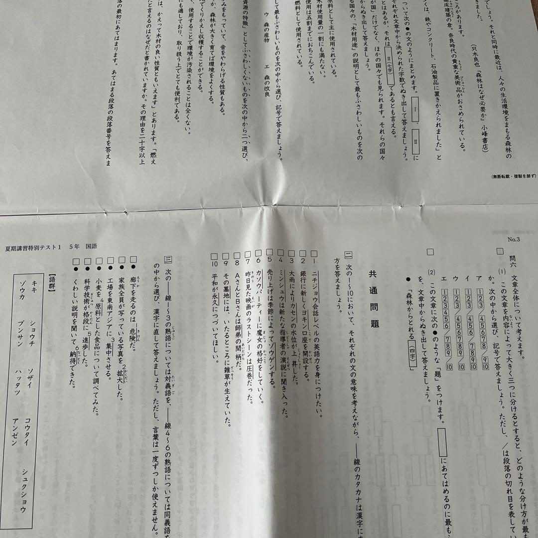 2025年 日能研 5年 夏期講習特別テスト❶❷❸