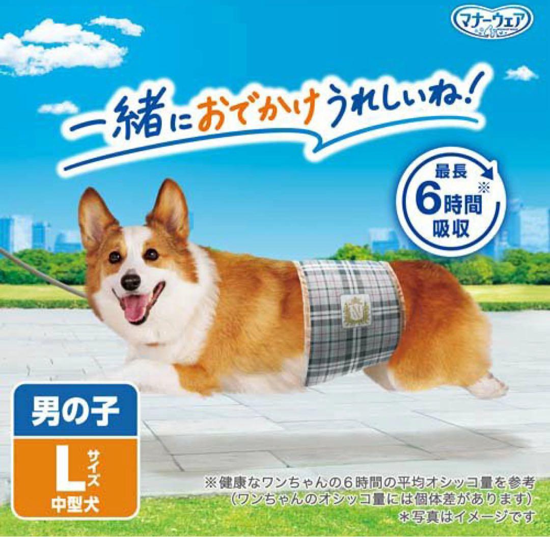 マナーウェア 犬用オムツ男の子 Lサイズ 40枚トラッド柄6袋セット