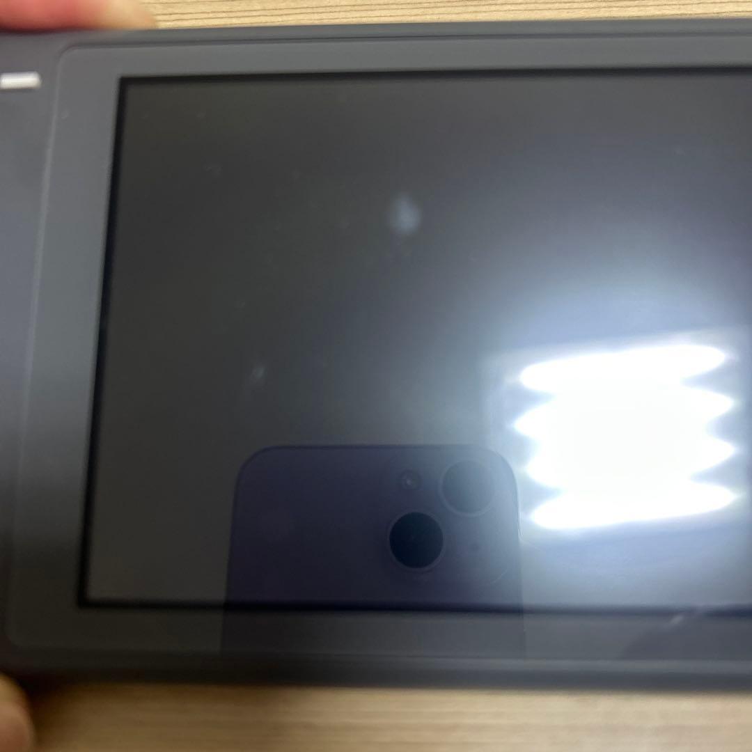 Nintendo Switch Lite グレー (充電器付き)