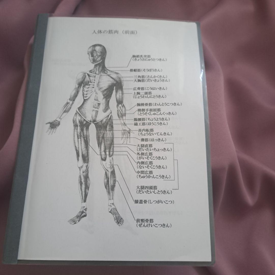 【希少】浜岡整体院 浜岡博先生 通信講座 テキスト＆DVD フルセット