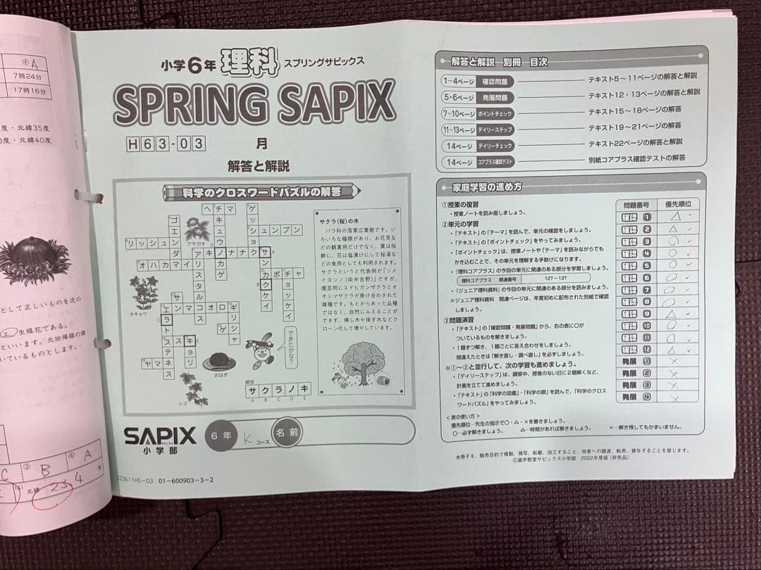 SAPIX 6年 理科 デイリーサピックス 1-38 平常授業 2023年受験