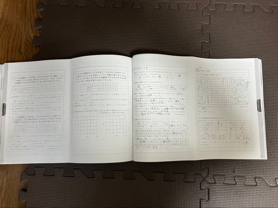 SAPIX 6年 理科 デイリーサピックス 1-38 平常授業 2023年受験