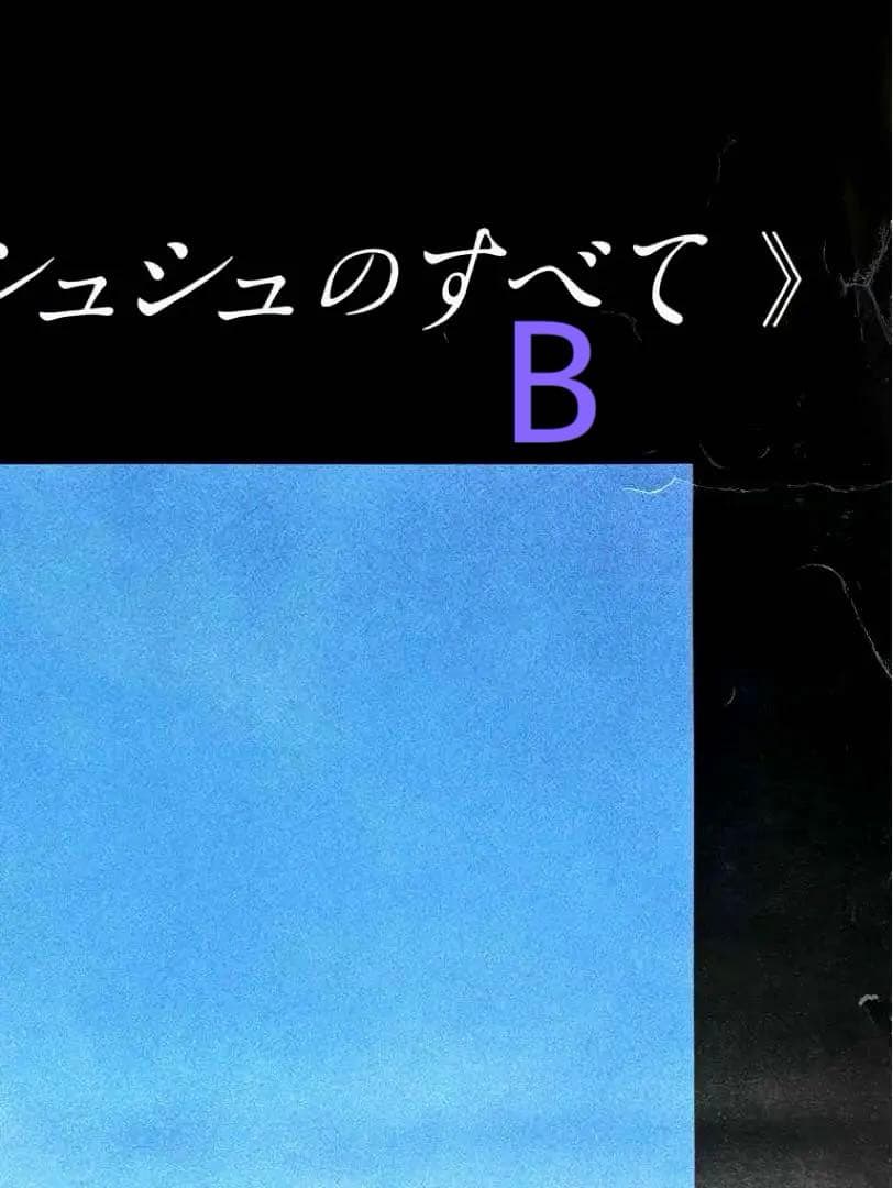 B1 ポスター リリイ・シュシュのすべて 額入り 2枚セット