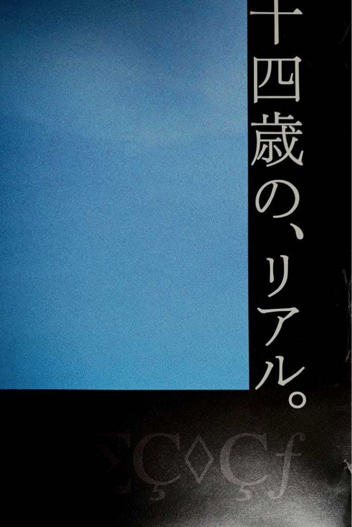 B1 ポスター リリイ・シュシュのすべて 額入り 2枚セット