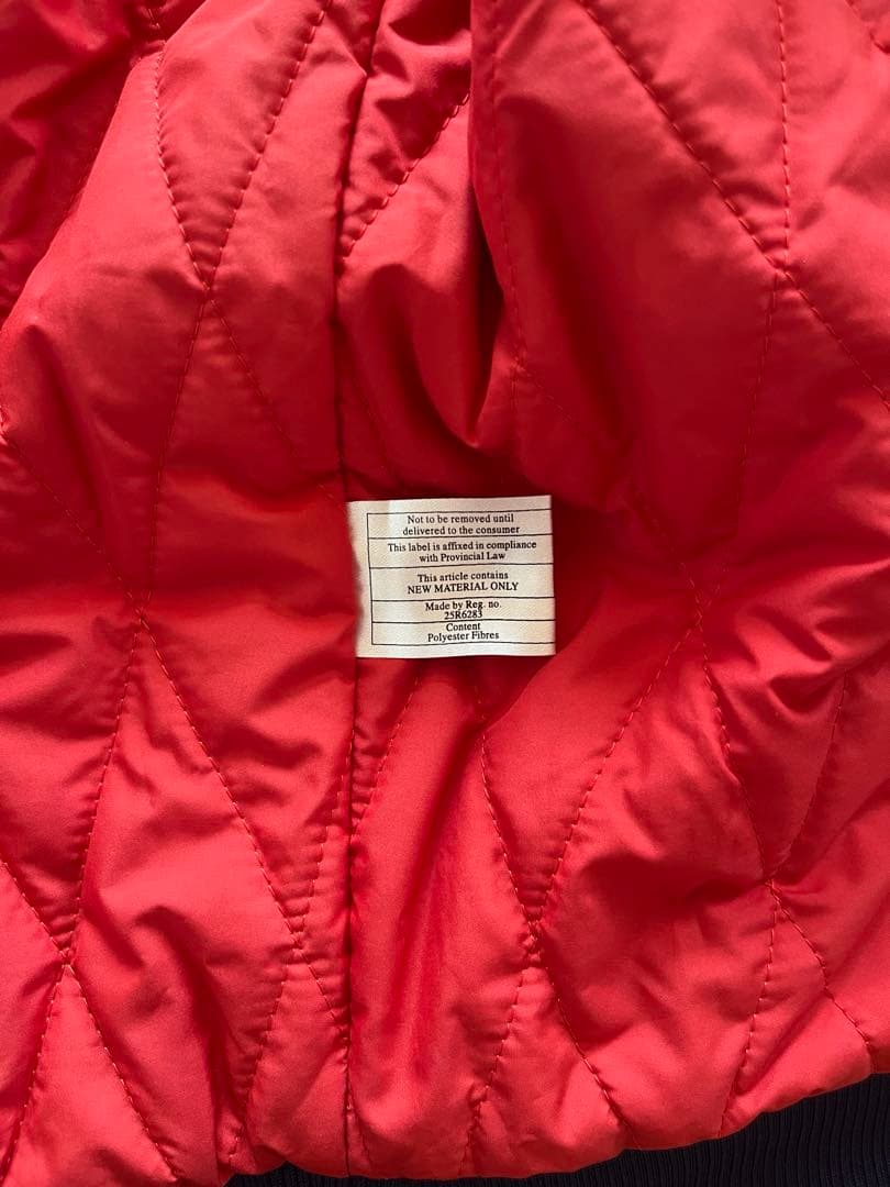 Patagonia パタゴニアベスト