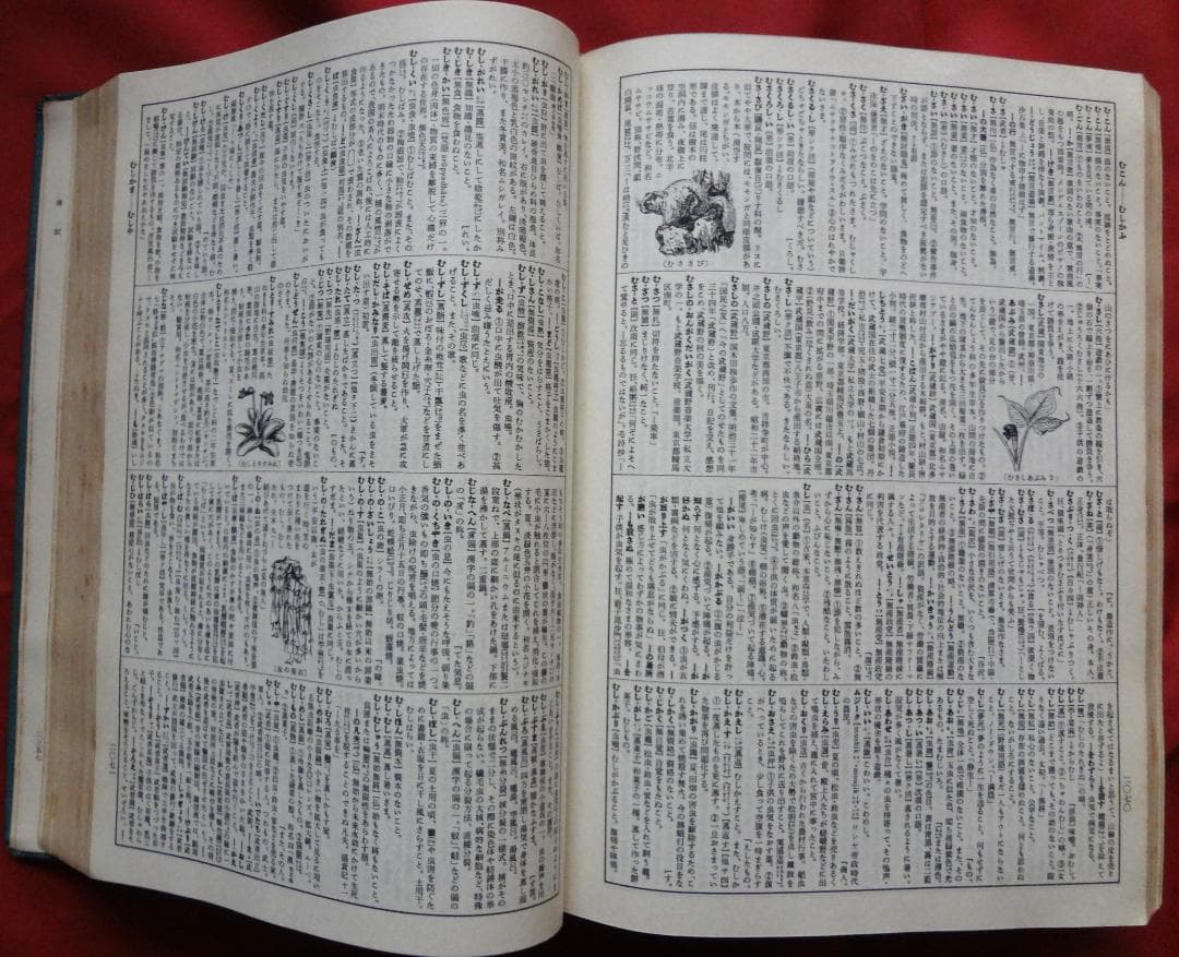 【希少古書】広辞苑　第一版第一刷