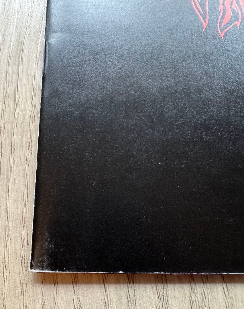【限定盤】ブッダブランド／病める無限のブッダの世界　ベスト盤　LPサイズジャケ