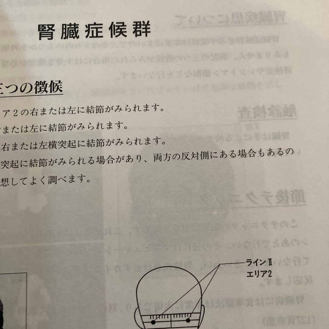内臓反射テクニック 中島文保著　カイロ　整体 鍼灸　オステ　トレーナー　貴重