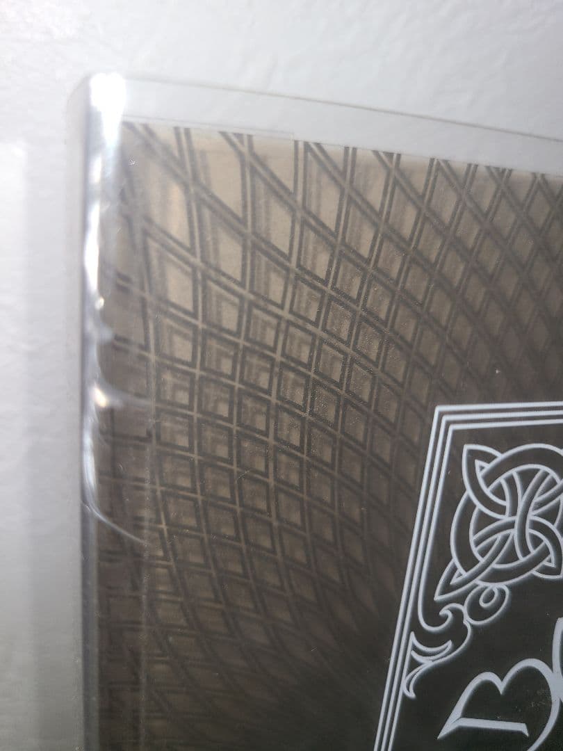 激レア非売品！BRAHMAN 非売品
