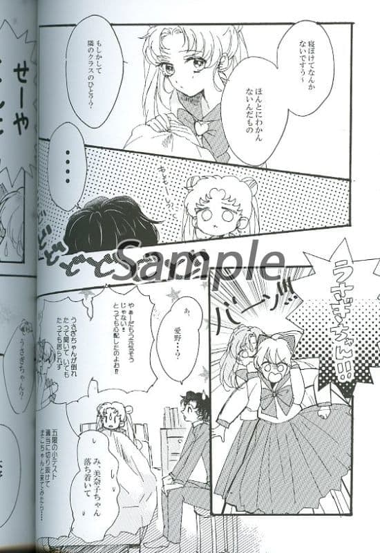★９２★【レア　シリーズ２冊セット】　セーラームーン　同人誌　星野光×月野うさぎ