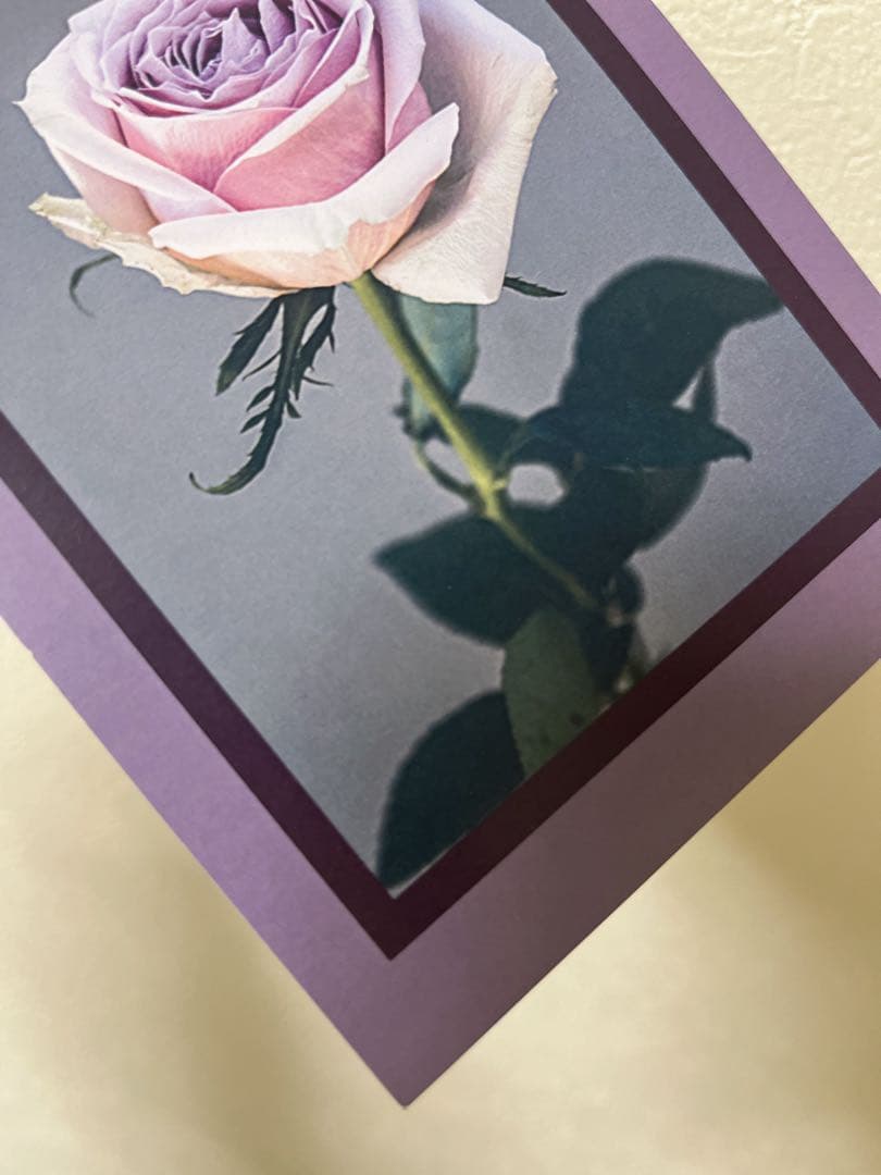 IROHA タロット　バレンタイン限定ブレスレット