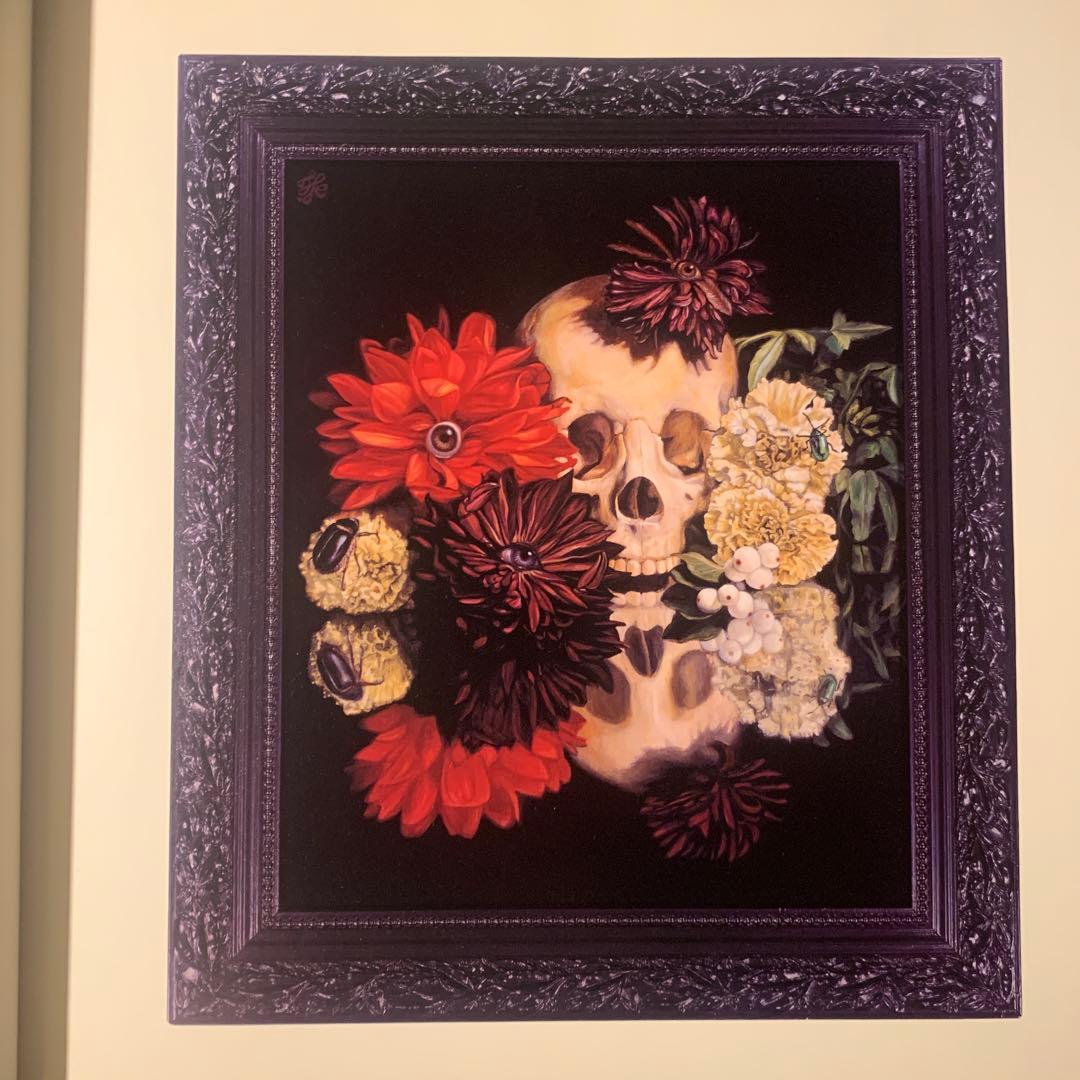 VANITAS KAMEI TORU 大型本