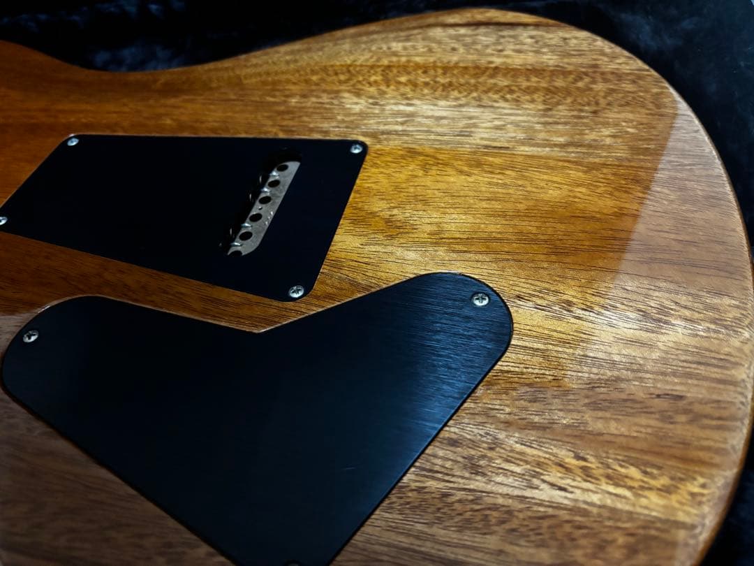 PRS Custom24 美品 使用3ヶ月 純正ハードケース 保証書付