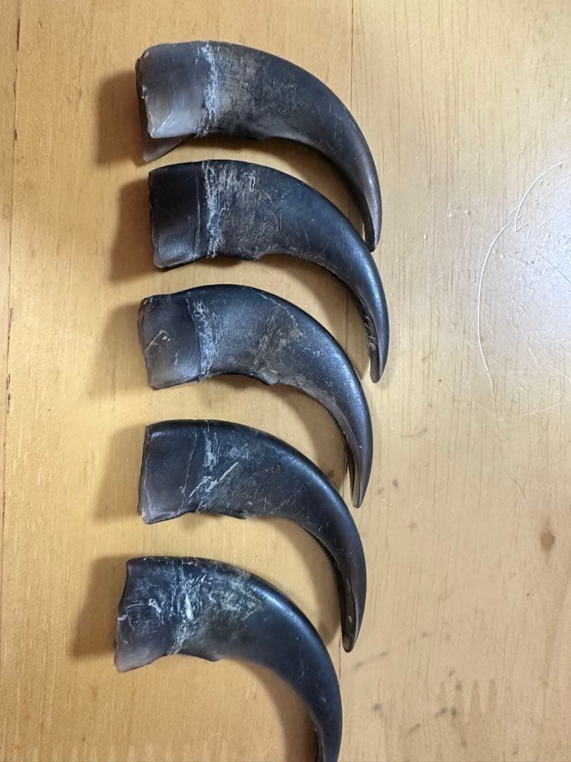 KITUNEAME 熊の爪 熊爪 熊手の爪 3本＆交換分2本