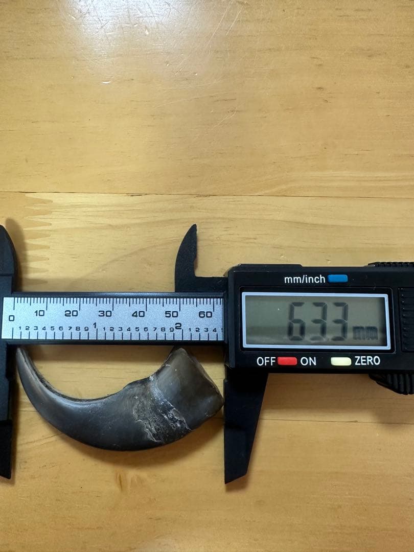 KITUNEAME 熊の爪 熊爪 熊手の爪 3本＆交換分2本