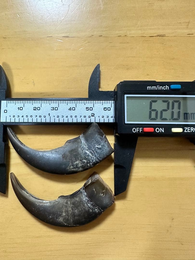 KITUNEAME 熊の爪 熊爪 熊手の爪 3本＆交換分2本