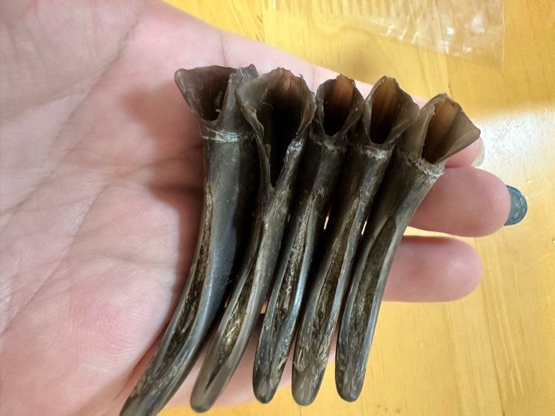 KITUNEAME 熊の爪 熊爪 熊手の爪 3本＆交換分2本