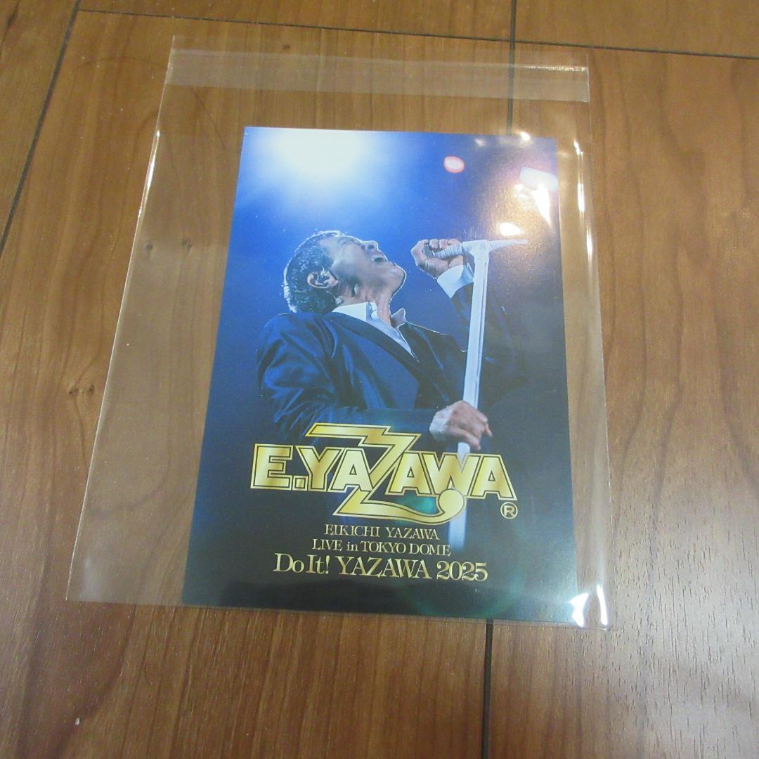 ミュージック E.YAZAWA LIVE IN TOKYO DOME DVD