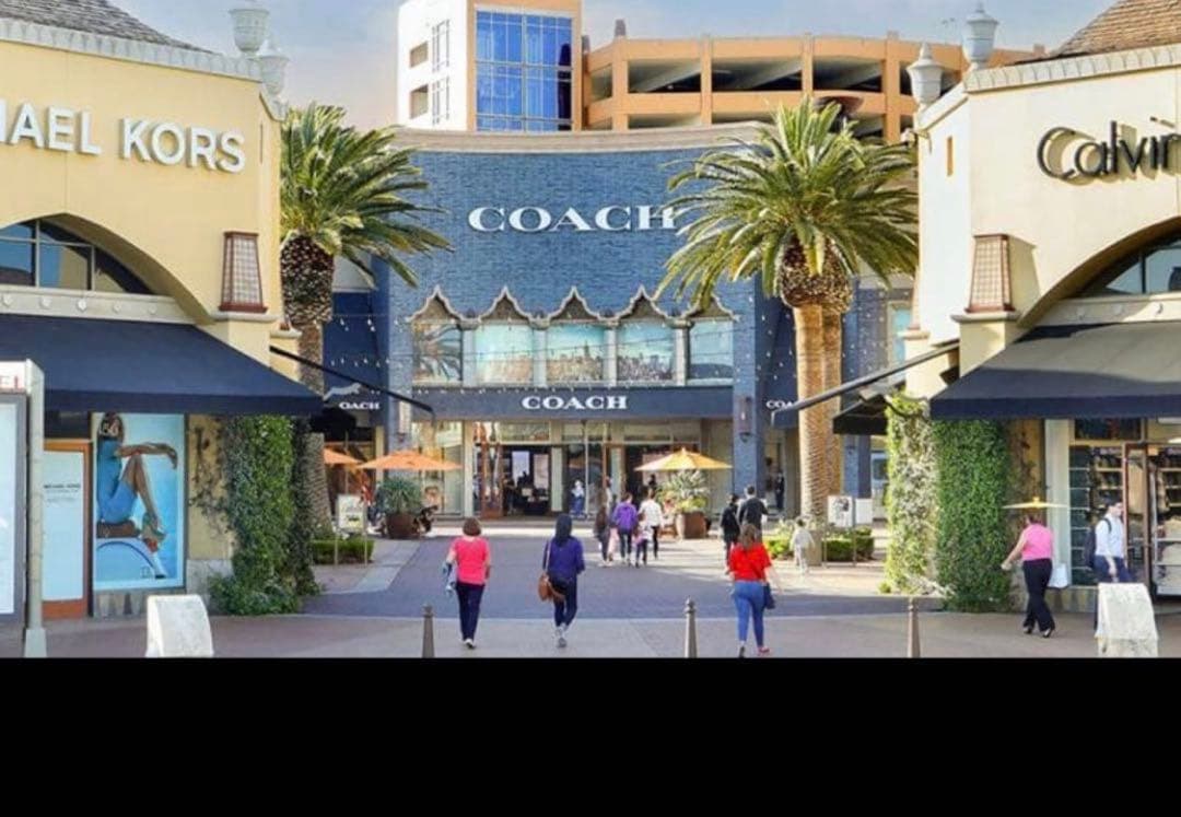 COACHコーチミディアム コーナー ジップ ウォレット チェリープリント