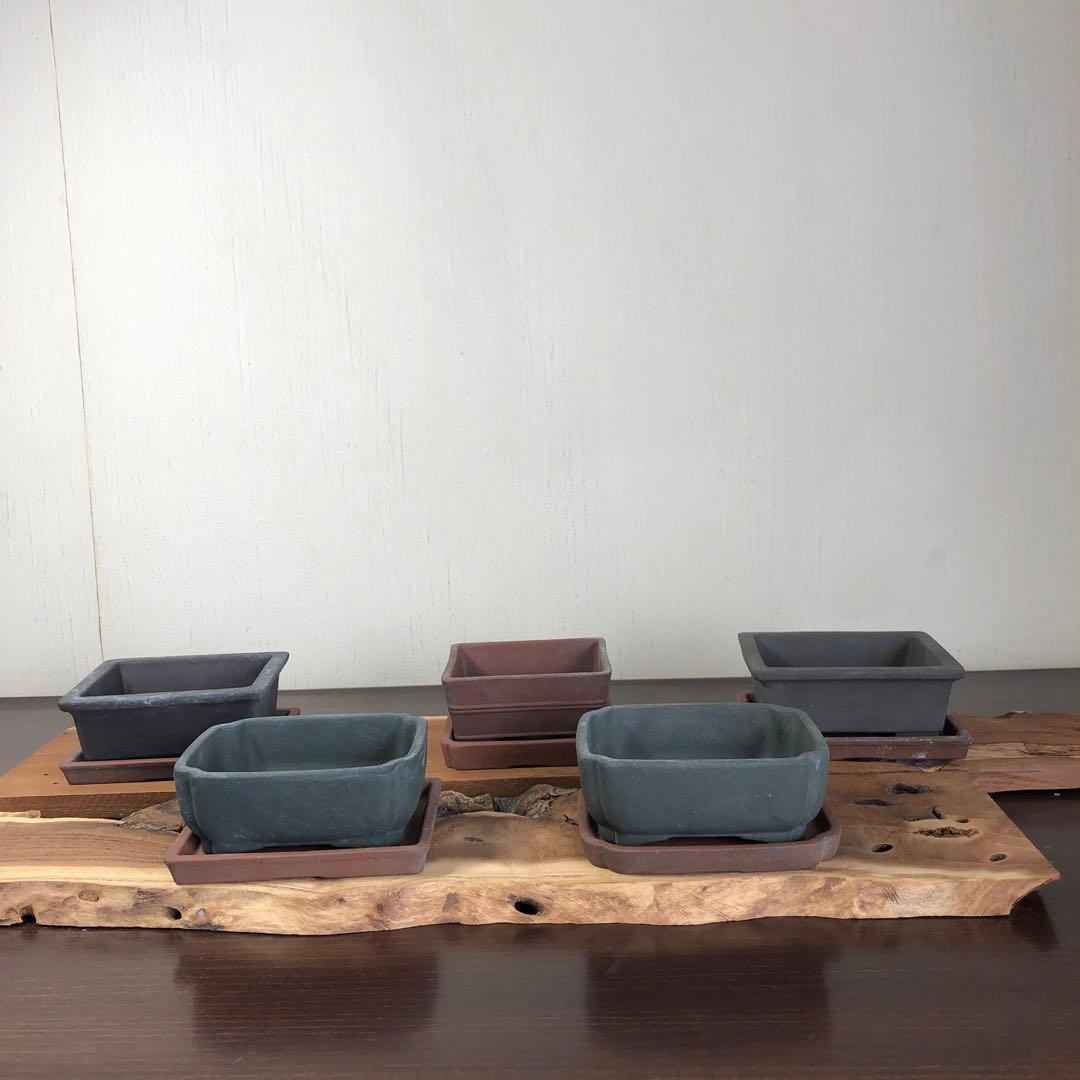 【名品】人気和鉢作家　伊勢周桂　小品盆栽鉢　5個セット　受皿付