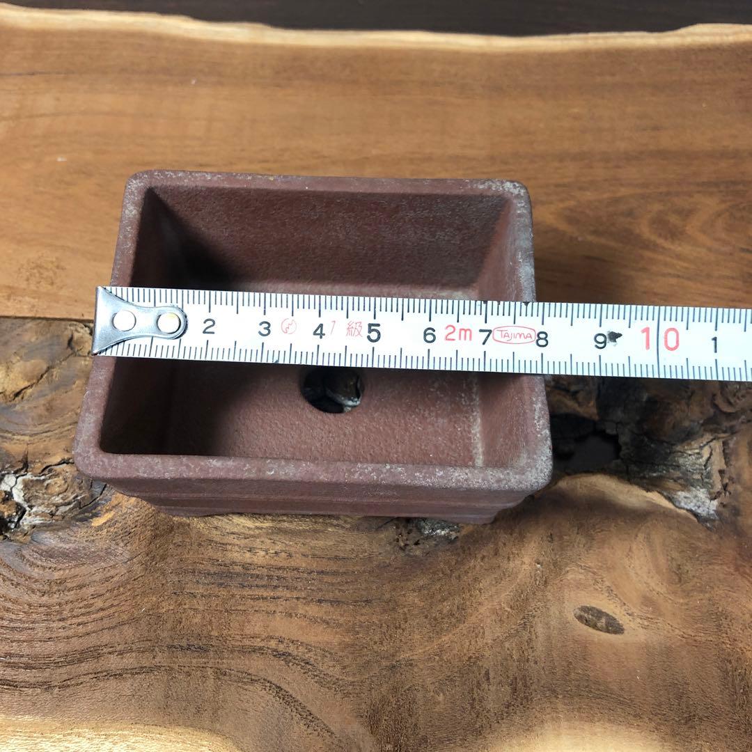 【名品】人気和鉢作家　伊勢周桂　小品盆栽鉢　5個セット　受皿付