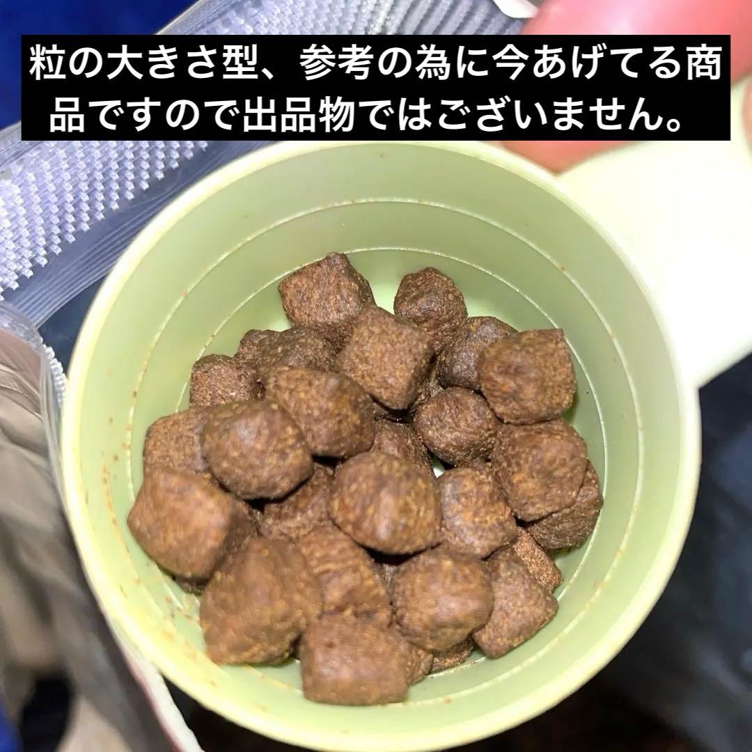 え*】様 レティシアン　エッセンシャル ドッグフード 1.8kg×２袋