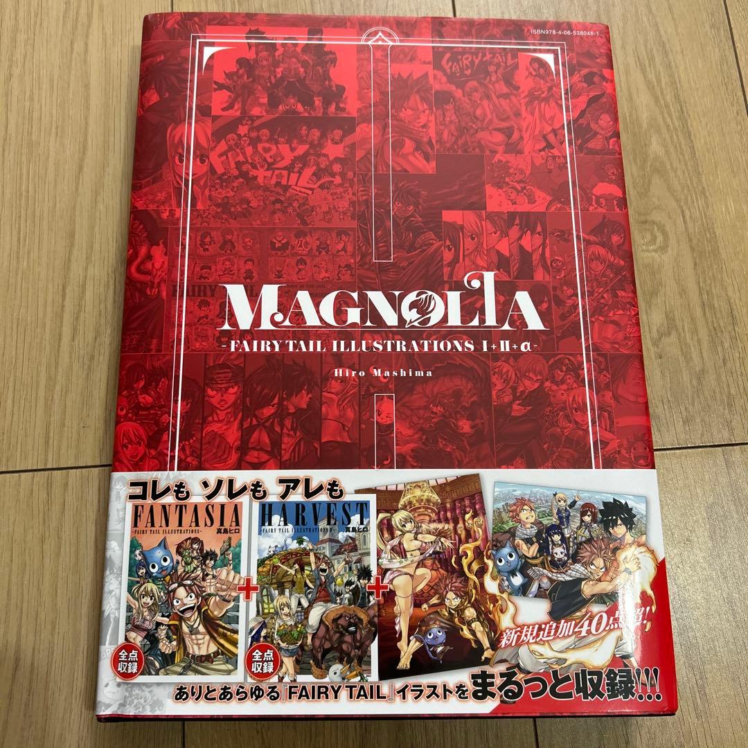 MAGNOLIA FAIRY TAIL イラスト集　画集　真島ヒロ　マガジン絶版
