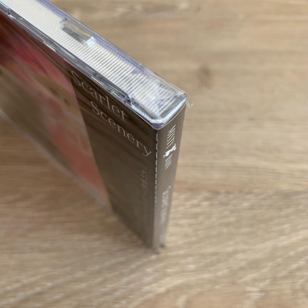 MISTY RAIN：Scarlet Scenery/未使用品CD