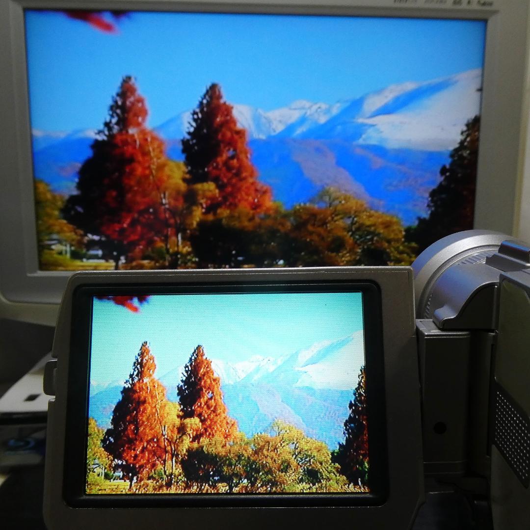 美品・動作品ソニー DCR-TRV20 MiniDV ビデオカメラ DVD化に