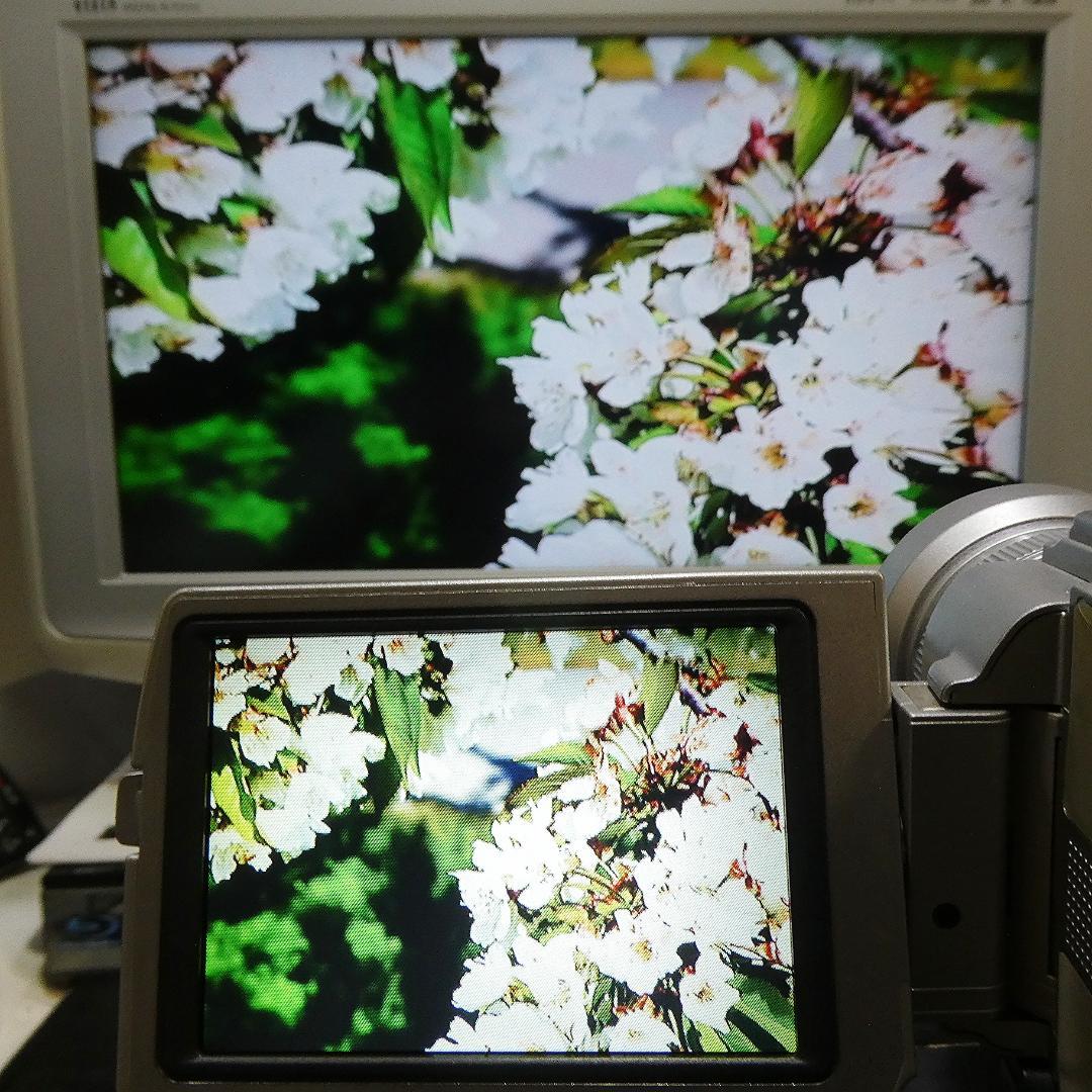 美品・動作品ソニー DCR-TRV20 MiniDV ビデオカメラ DVD化に