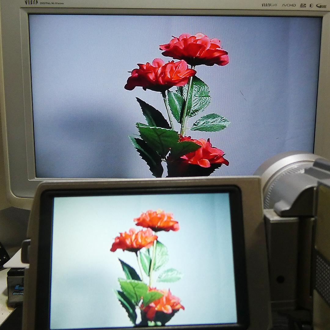 美品・動作品ソニー DCR-TRV20 MiniDV ビデオカメラ DVD化に