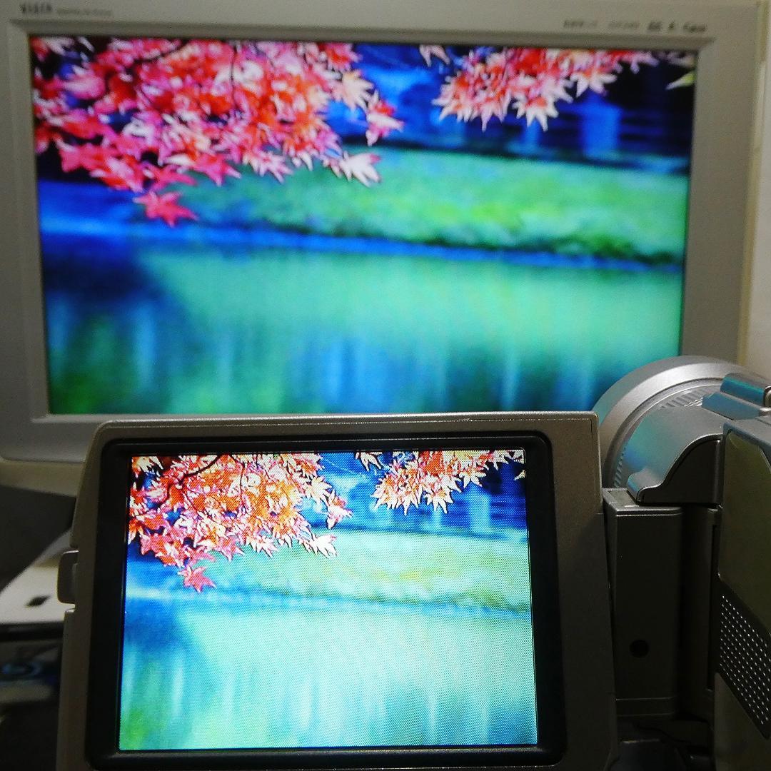 美品・動作品ソニー DCR-TRV20 MiniDV ビデオカメラ DVD化に