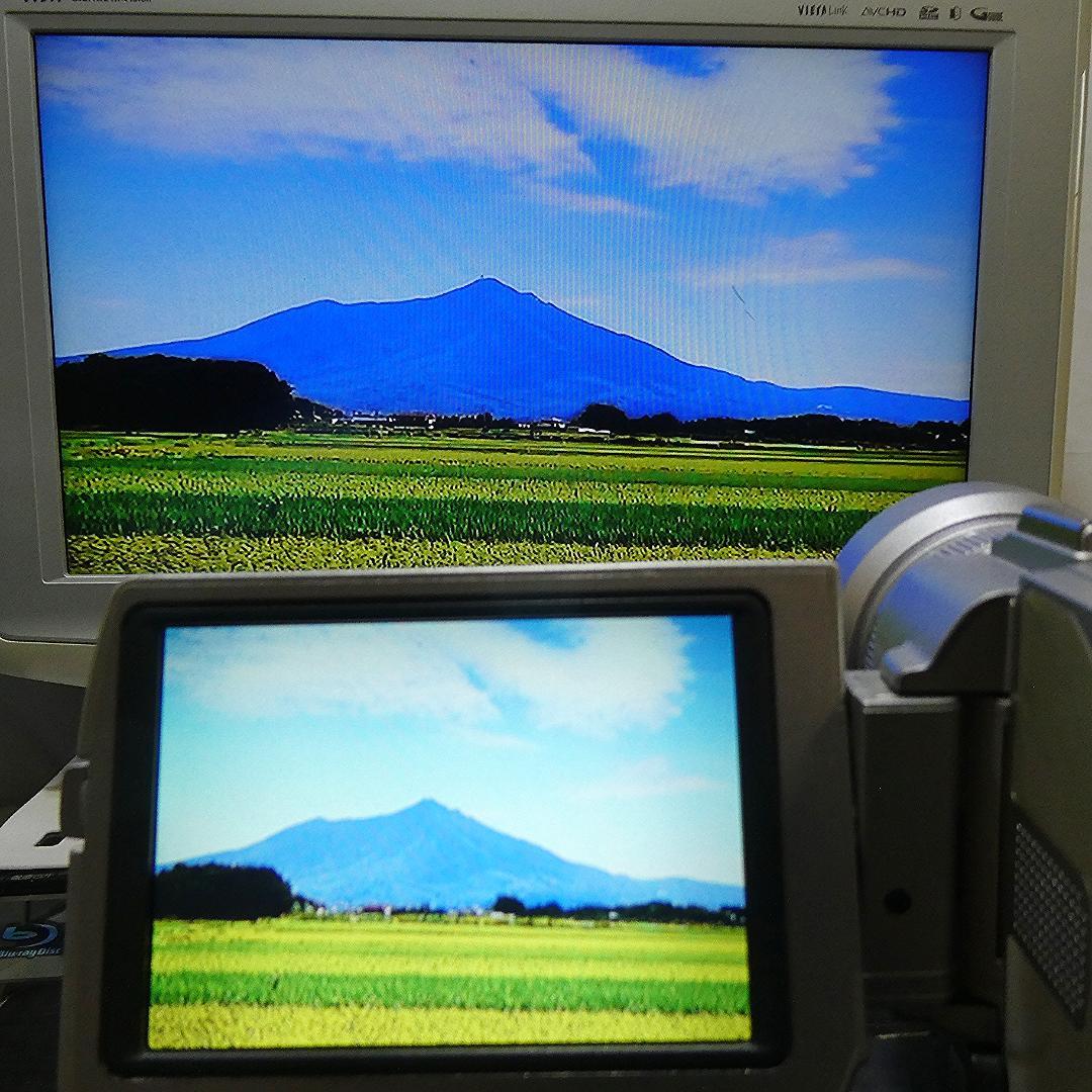 美品・動作品ソニー DCR-TRV20 MiniDV ビデオカメラ DVD化に