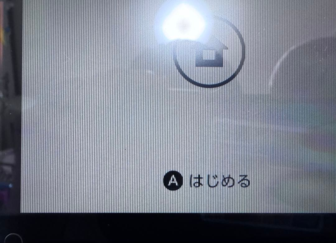Switch ジャンク